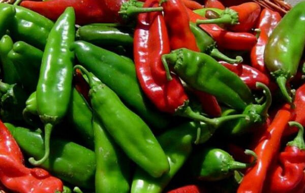 ljuta-paprika