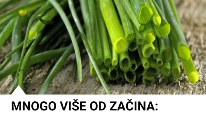 FB_IMG_1763442556592