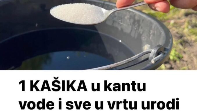 1-kasika