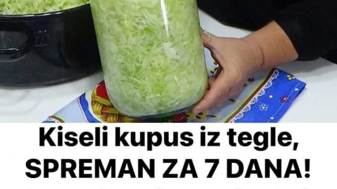 FB_IMG_1758638405124